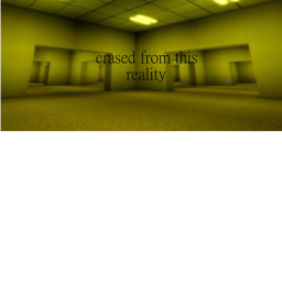 erased from this reality