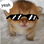 The Coolcat Group