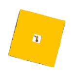 Ro-bloxy Nation
