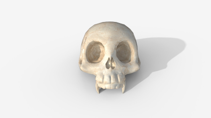 Stylized Animal Skull - Low Poly Game Ready PBR preview 3