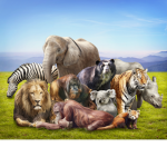 The Animals United against Cats