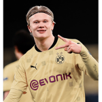 Haaland Fan Group