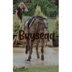 ʚ bayseqq ɞ