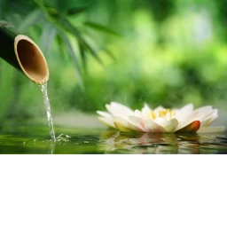 Relaxing Zen garden icon