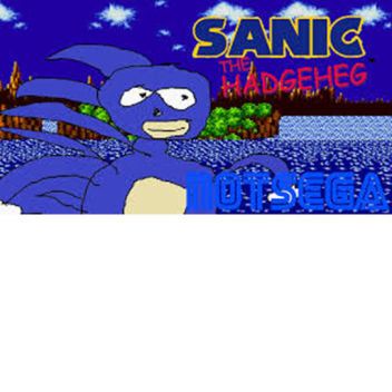 Survive Sanic And His Buddies 2