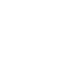 蝶々