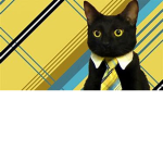 sir meows alot