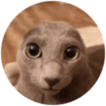 Ploobie