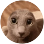 Ploobie