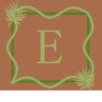 Euphoria Preforming Arts Studios