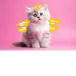 Angel Group Only!