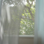 spring - 004