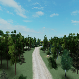 Escape The Forest