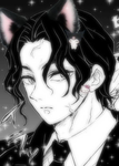 Kitten is aesthetic