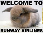I love bunny official fan club