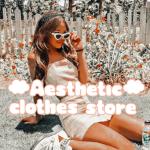 > Aesthetic Clothes Store <