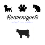 HeavenlyPets
