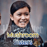 +-Mushroom Sisters-+