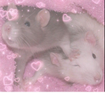 ~ Rat Pack ~