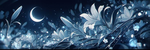 sleepless development team