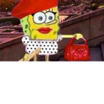 plungie spongies