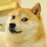 AnimalsTeam