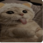 Fan of sunny come join