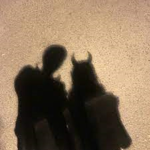 DEVILCHASERS09