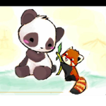 Panda Country
