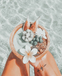 -Tʀᴏᴘɪᴄᴀʟ ᴀᴅᴠᴇʀᴛɪsɪɴɢ-