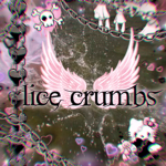 lice crumbs