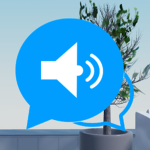 Voice Chatting