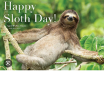 - sloth world -