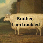 Brother, I am troubled