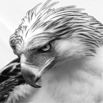 White Eagle Fam Group Thumbnail