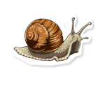 Die geile Schnecken am Start