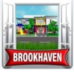 Team Brookh
