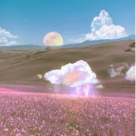 PLANET DEV