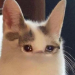 For Friends ;-;