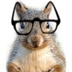 Smart Squirrel Studios