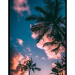 Cloudx_Rblx Fangruppe