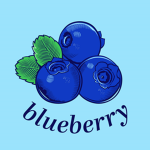 Blueberry's Franchise