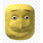 Pro ROBLOX player’s