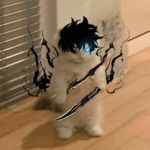Ragnarok Studio's