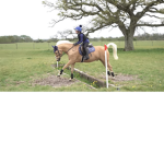 Chole’s riding academy