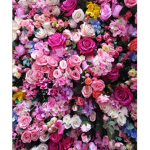 Floral lovelies
