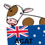 australian cow assault team