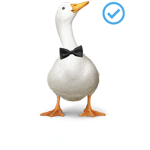 There’s a duck in my house!
