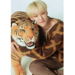 horangdans ~ carats