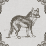 The Coyote Forest